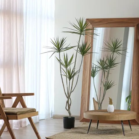 Artificial Dracaena Marginata Tree 1.8m