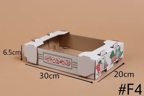 ربطة كرتون فواكه سعة 2 كيلو (F4)