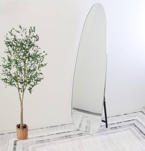 مرايا ستاند اطار فضي مقاس 50×165 سم