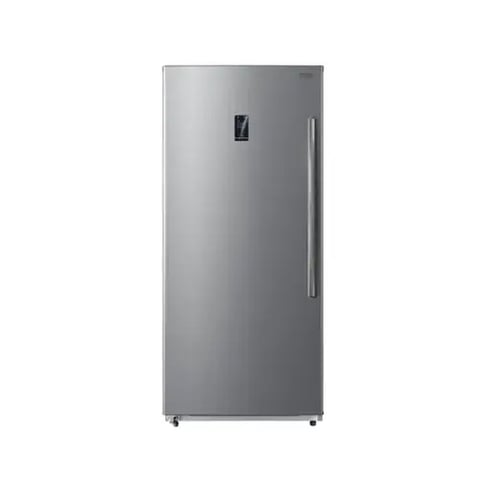 Starway 21 feet Vertical freezer, Steel