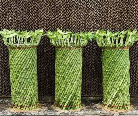 Bamboo Spiral Cage