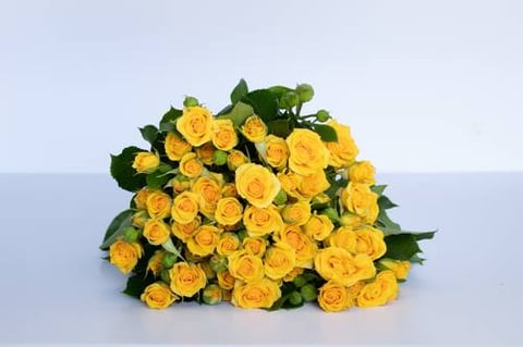 ROSES SPRAY YELLOW-ITA