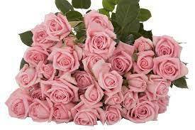 ROSES SPRAY ODILIA -SUBATI