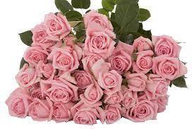 ROSES SPRAY ODILIA -ETHIOPIA