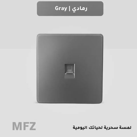 مدخل انترنت رمادي MFZ