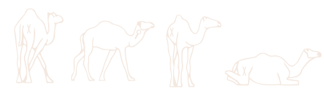 Footer Image