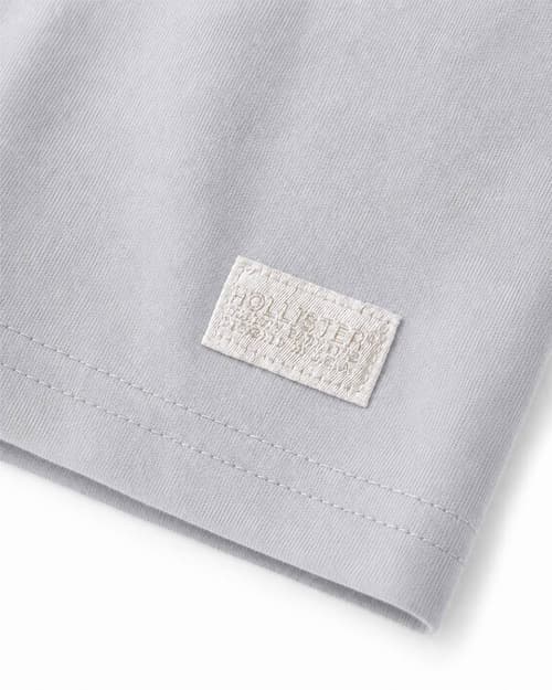 Cooling Hollister Badge Crew T-Shirt -Light Gray 