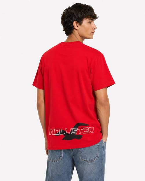 Hollister Graphic cotton Crew T-Shirt 