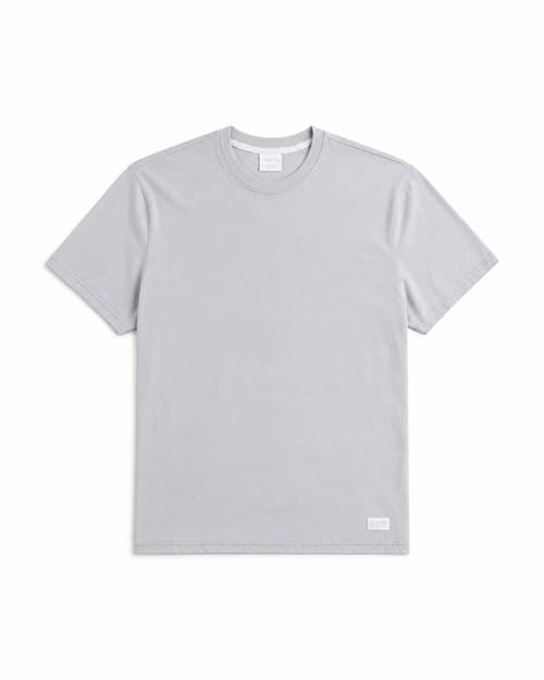 Cooling Hollister Badge Crew T-Shirt -Light Gray 