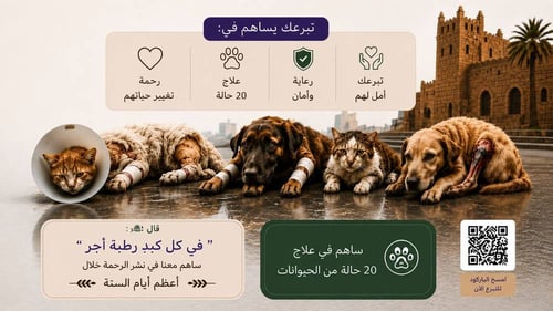 صندوق الرحمة لأهل الجوف 🐾🤍