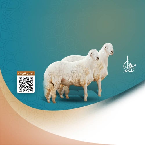 أضحيتك أجر وفرحة