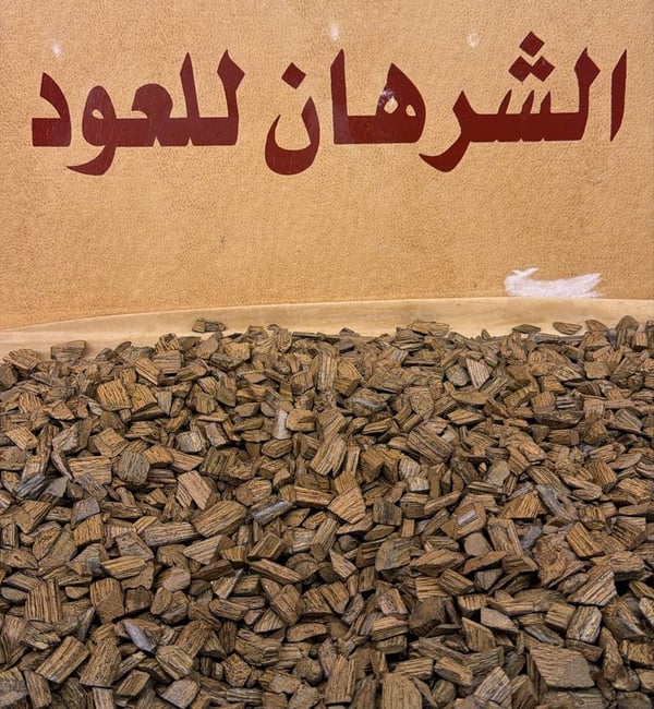 دقة عود ميني بيور Image 3