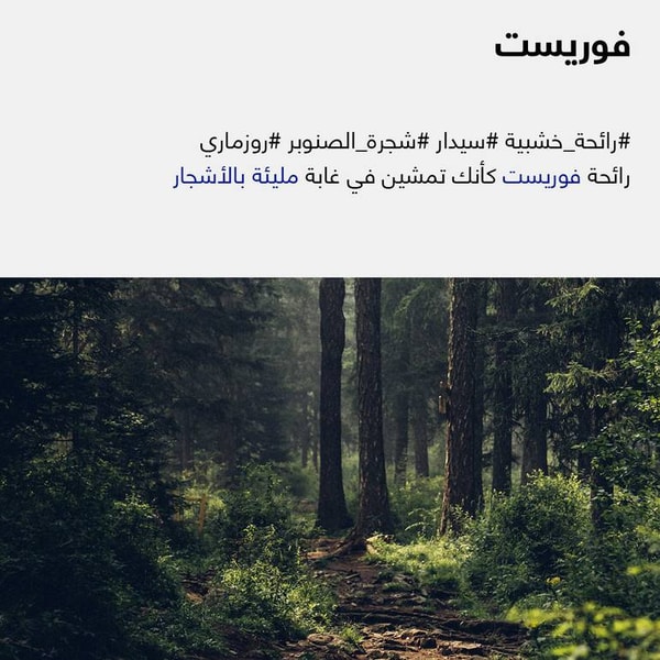 فلتر شاور - فلتر ماء للدش - فلتر الدش المعالج - فلتر الدش - فلاتر مياه