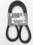 Genuine Datsun Fan Belt 2008-2016