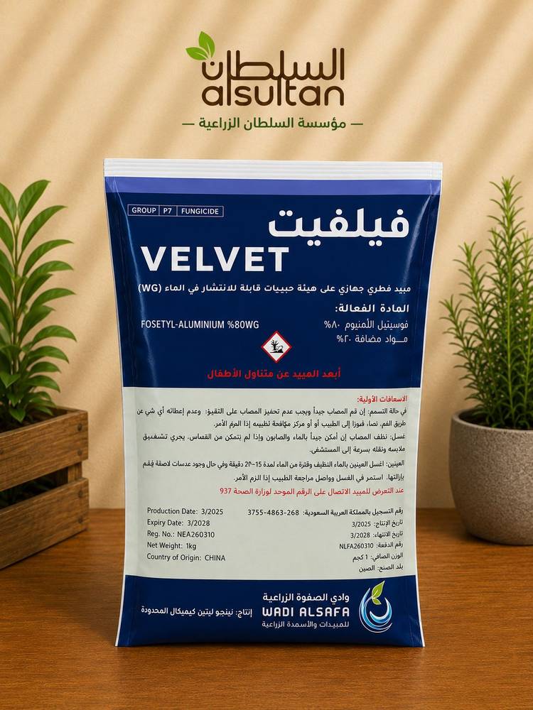 فيلفت