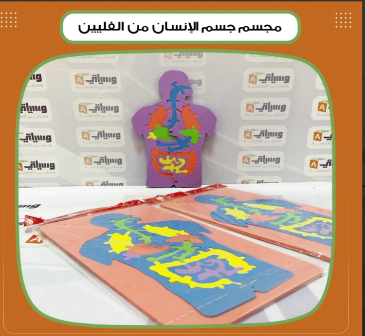 مجسم جسم الإنسان من الفلين