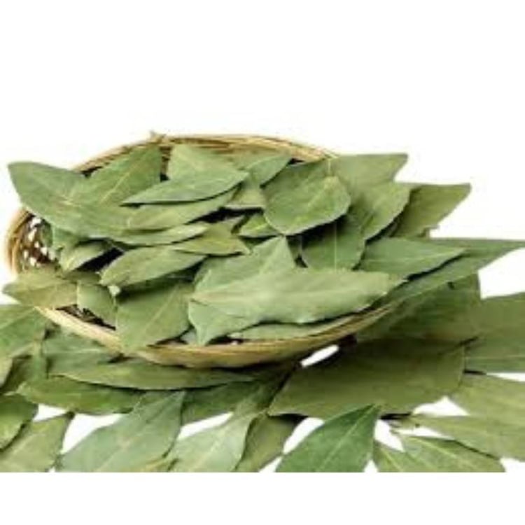 best sidr leaves