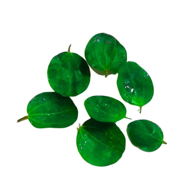 7 sidr leaves