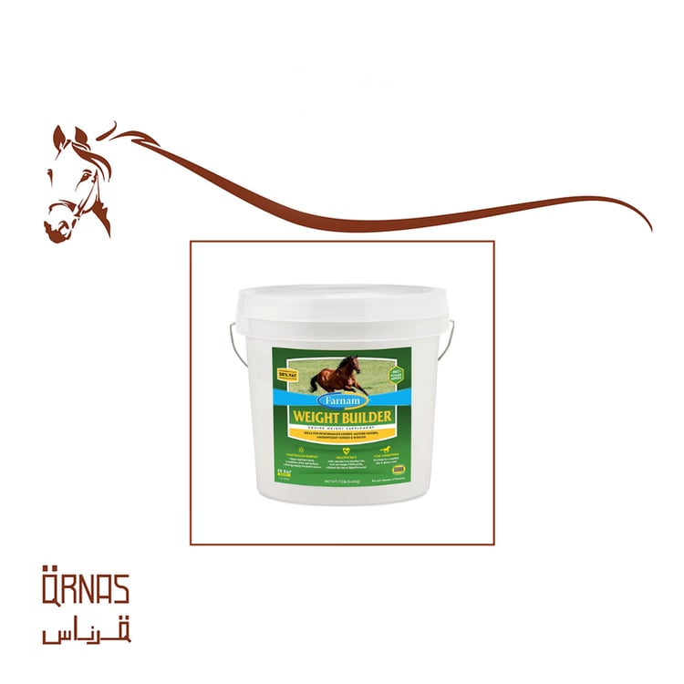 علف تسمين الخيل