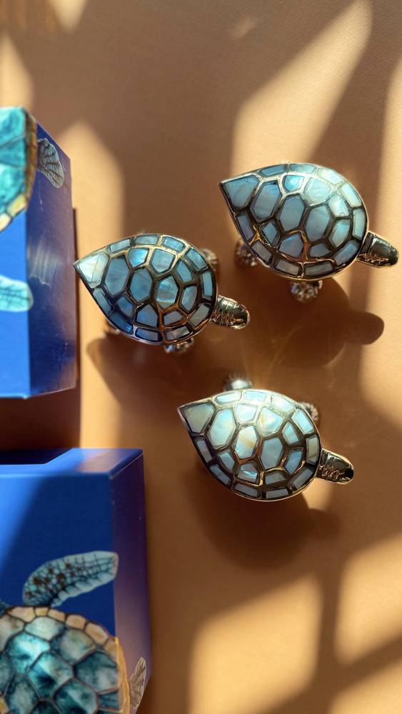 new born Jad Turtle - Pictures - image 4 - ARM-317
