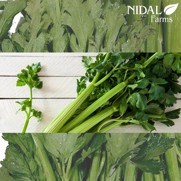 Organic Celery