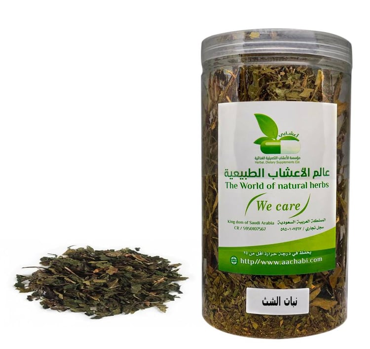 نبات الشت
