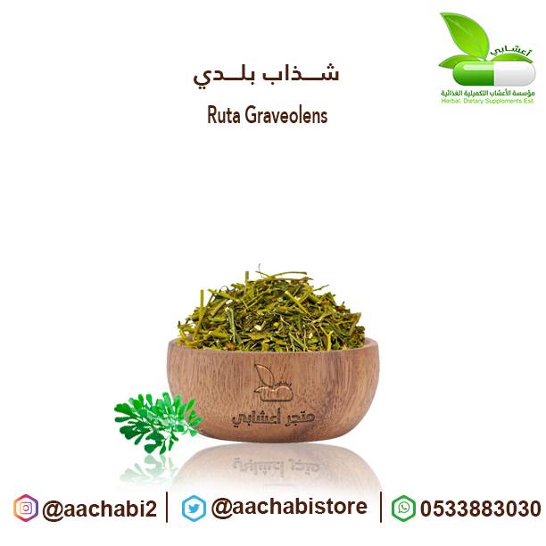 عشبة الشذاب بلدي