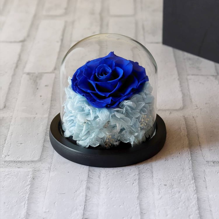 Preserved Blue Rose in a Small Glass Dome
