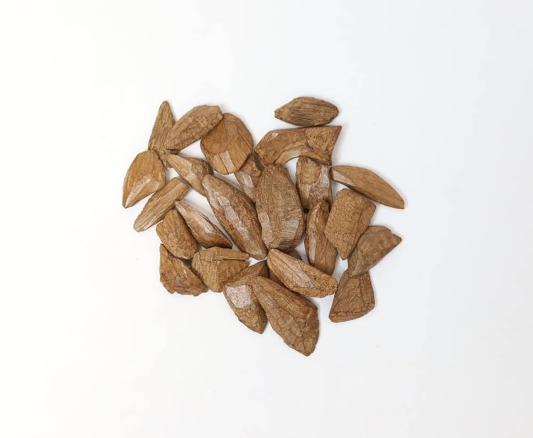 محسن مروكي دقة ممتاز
