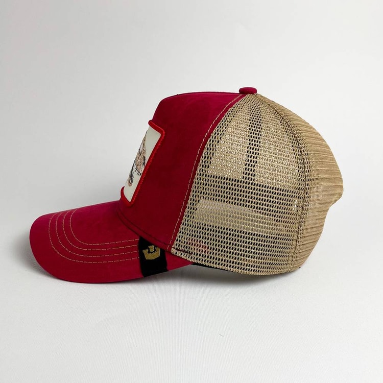 Cap On Map | EXTINCT