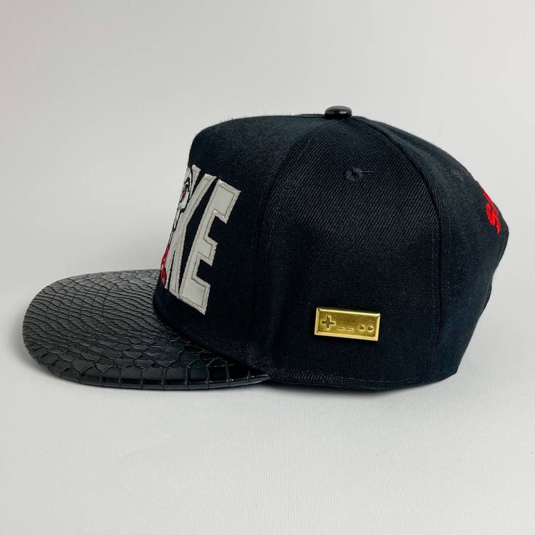 Cap On Map | SNAKE