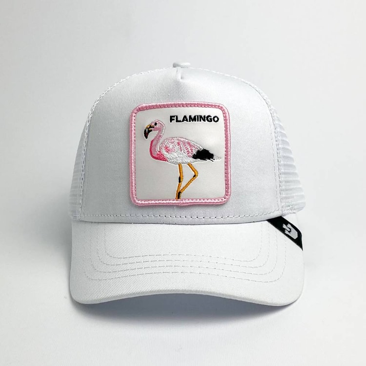 Cap On Map | FLAMINGO