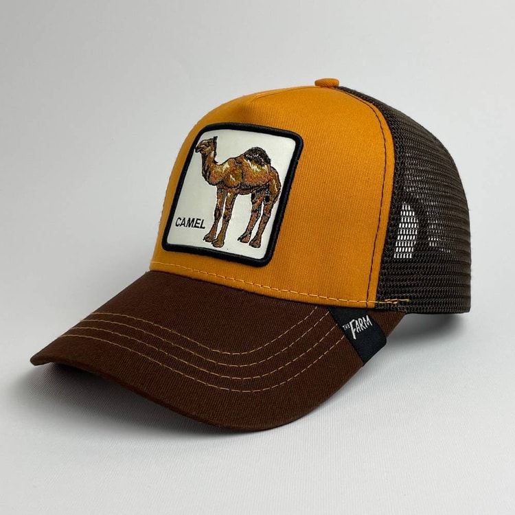 Cap On Map | CAMEL