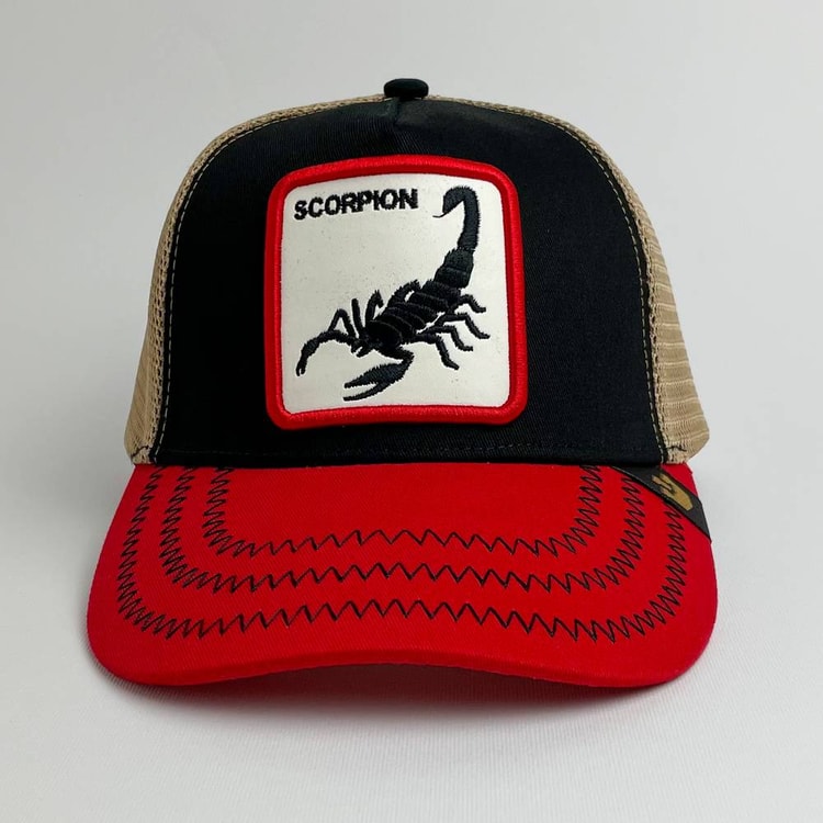 Cap On Map | SCORPION