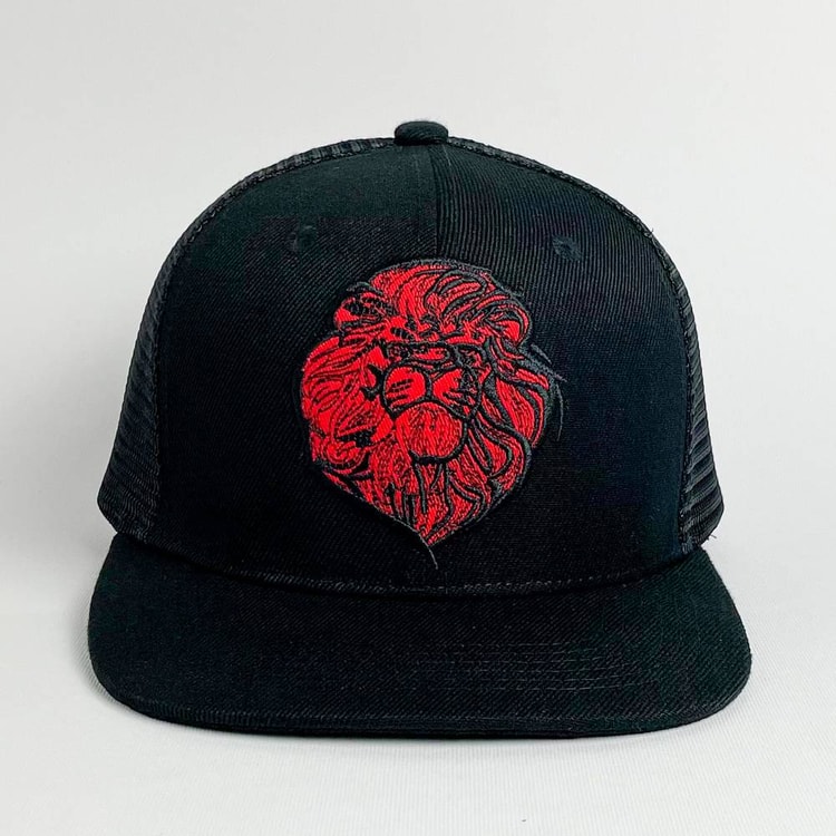 Cap On Map | LION