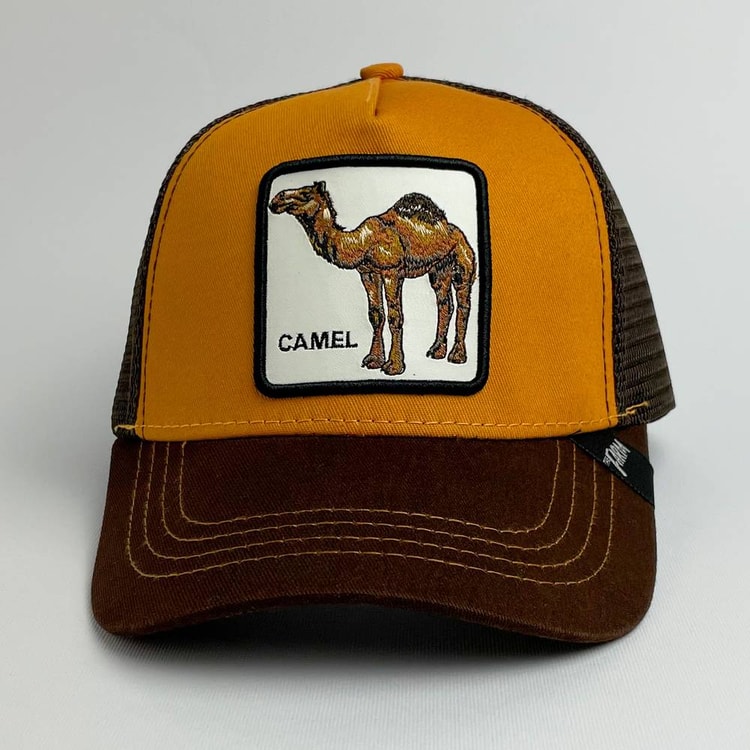 Cap On Map | CAMEL