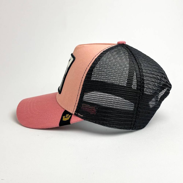 Cap On Map | TIGER V01