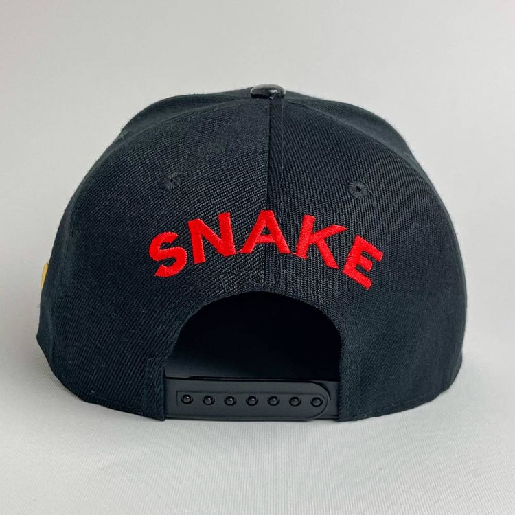 Cap On Map | SNAKE