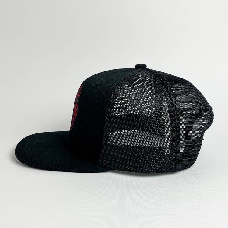 Cap On Map | LION