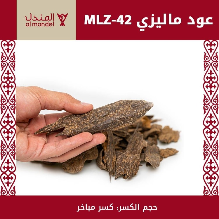 عودي ماليزي نادر