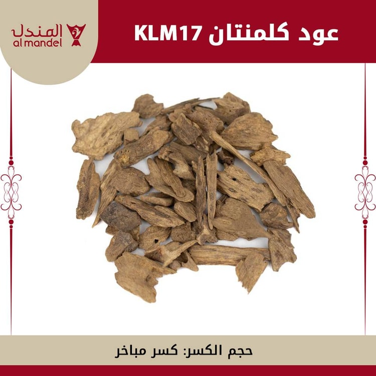 عود كلمنتان