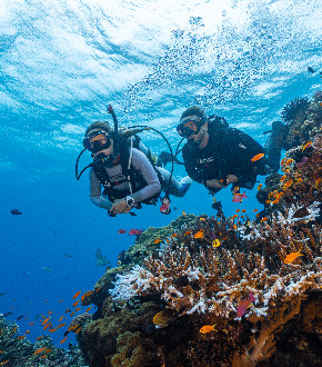 Discover Scuba Diving With Us