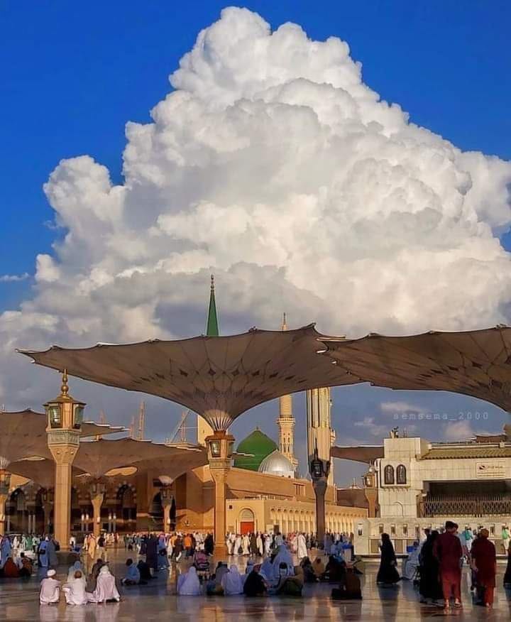 المدينة المنورة