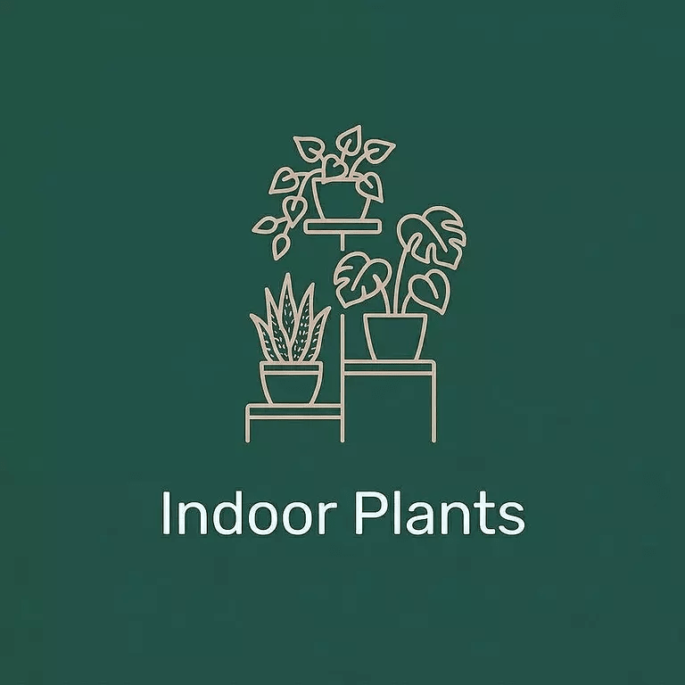 Indoor Plants