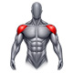 Shoulder Training Machines