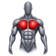 Chest Training Machines