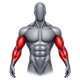 Arm Training Machines