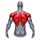 Back Training Machines