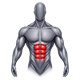 Abdominal Training Machines