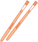 Paint Brushes